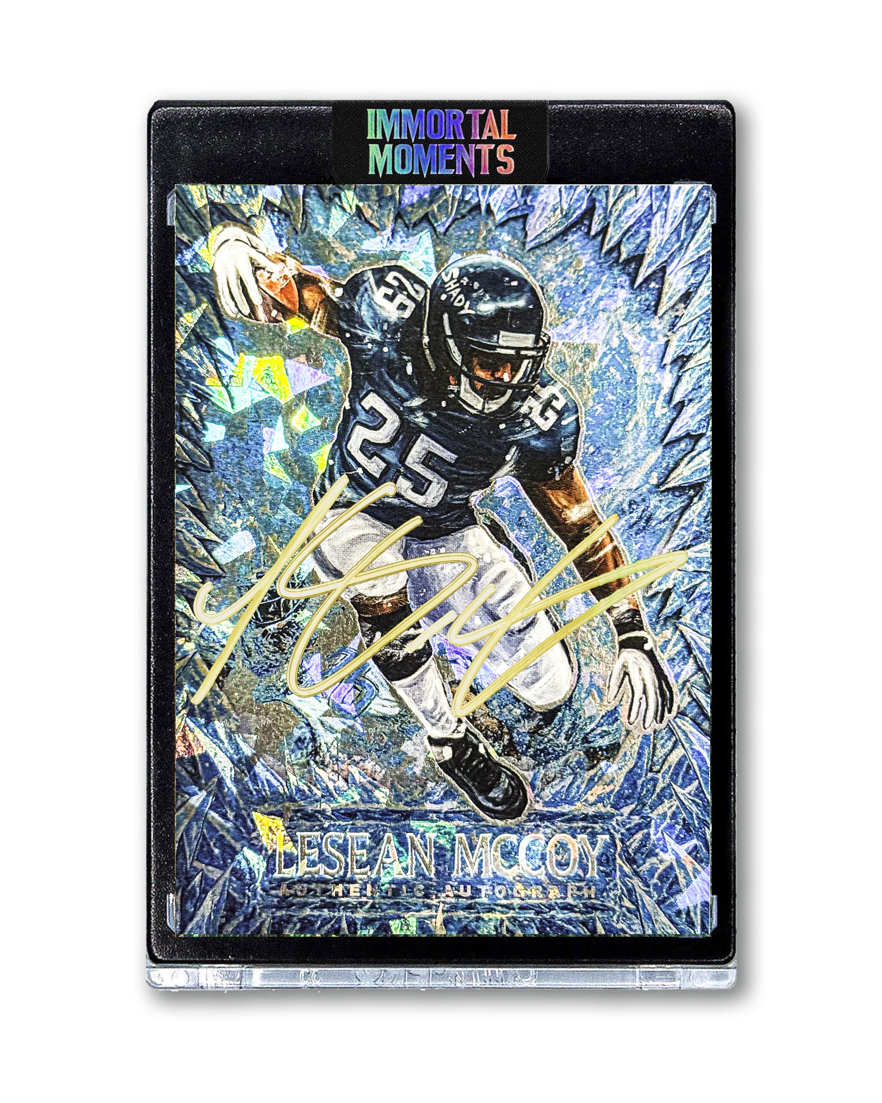 IMMORTAL MOMENTS™ LeSean McCoy "Snow Bowl" Collectible