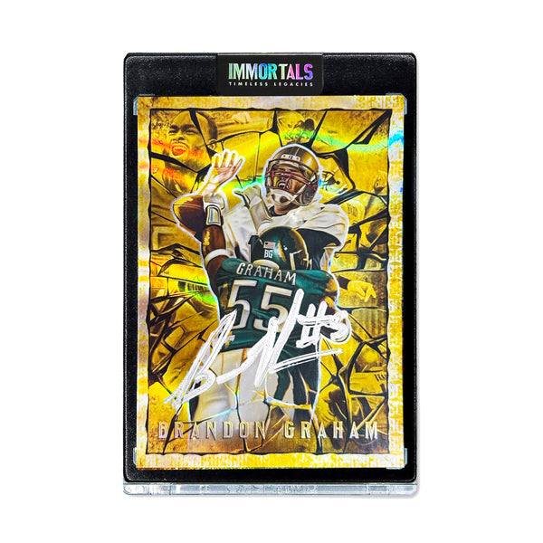 SPECTOR X BG | "BREAKTHROUGH" | UNRELEASED AUTOGRAPHED GOLDEN NEBULA ARTIST PROOF