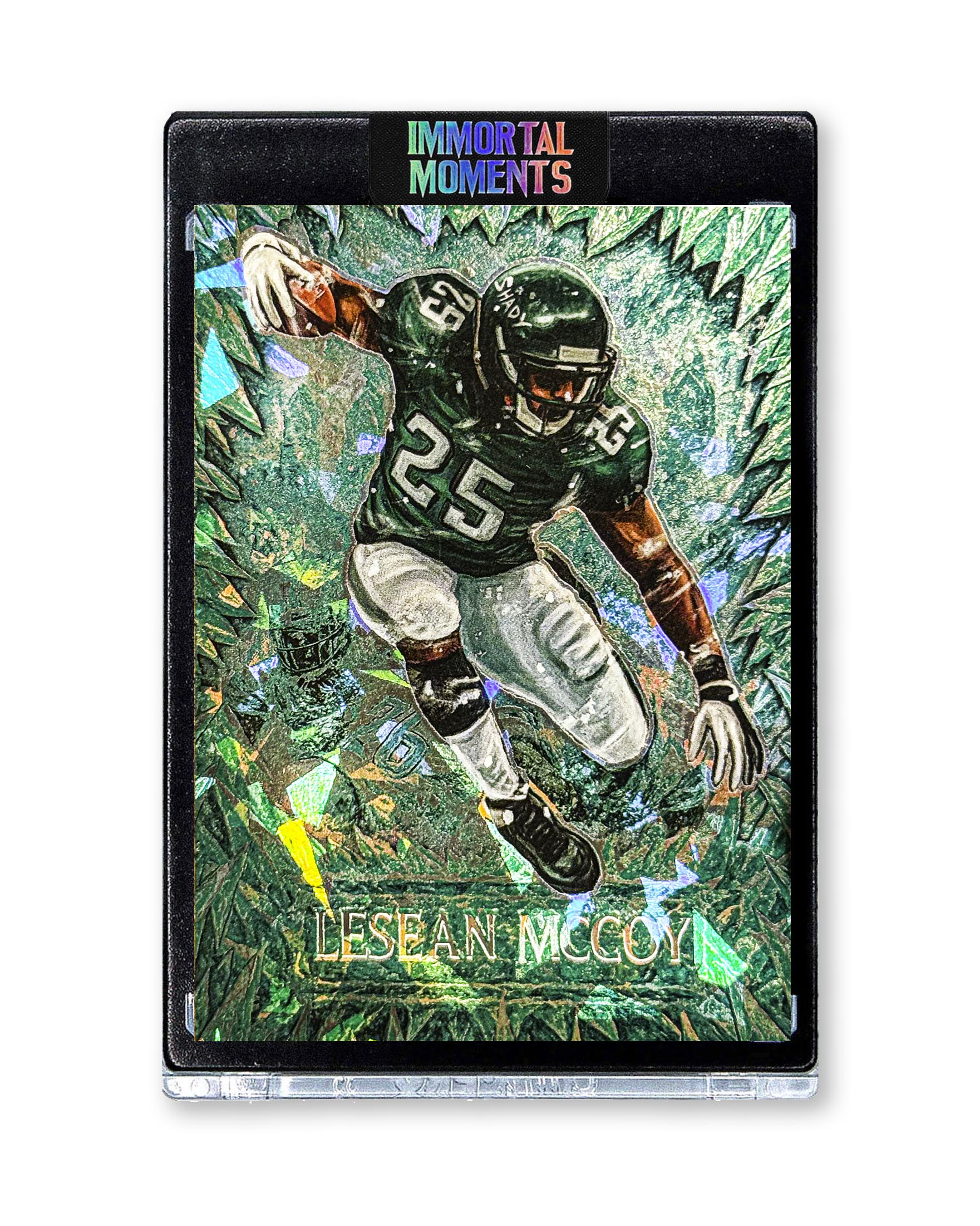 IMMORTAL MOMENTS™ LeSean McCoy "Snow Bowl" Collectible