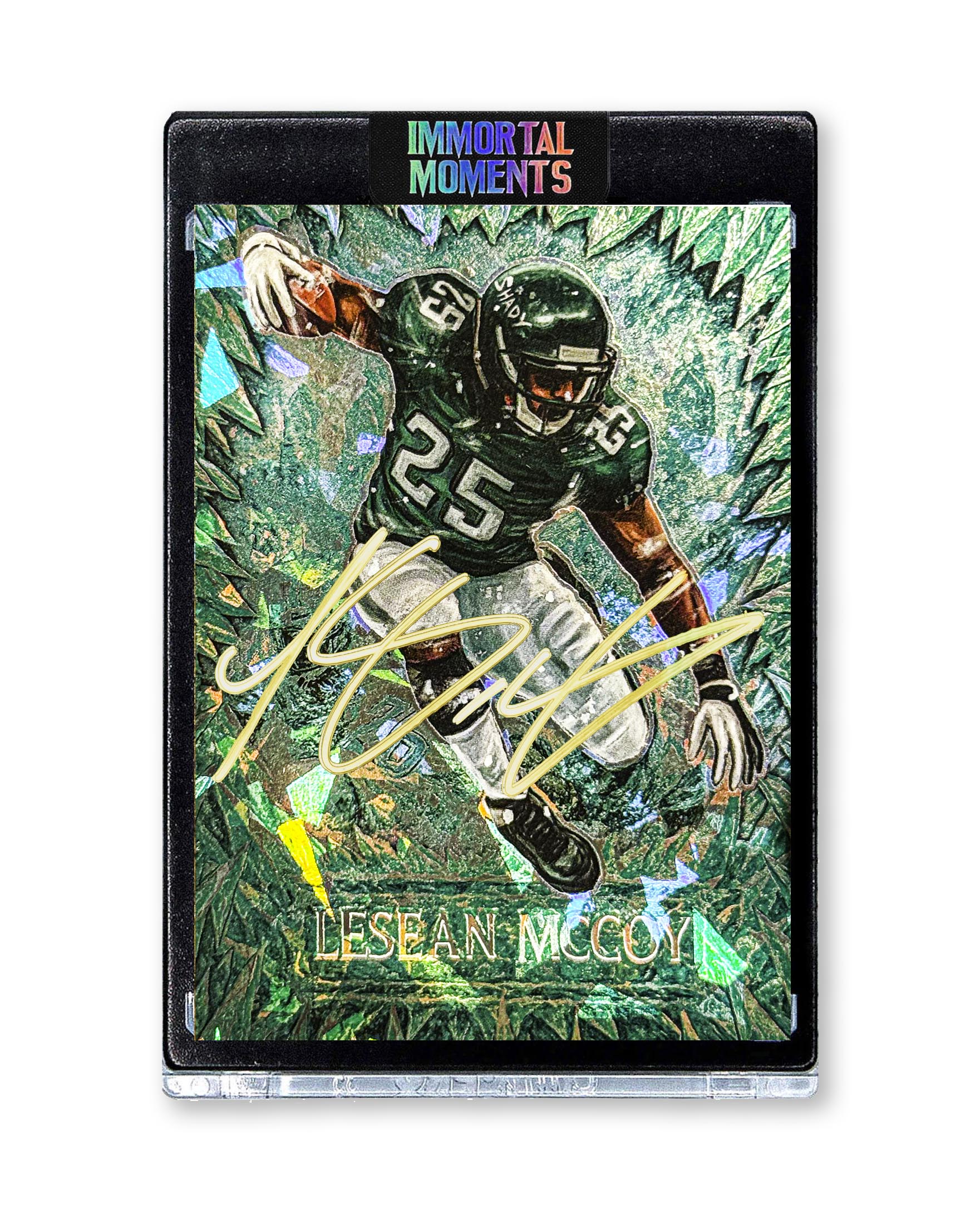IMMORTAL MOMENTS™ LeSean McCoy "Snow Bowl" Collectible