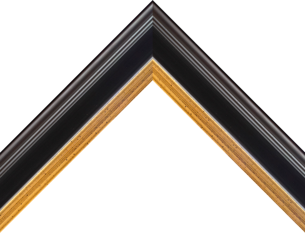 FRAME UPGRADE | 6.5x24 OR 17x60 – Spector Sports Art
