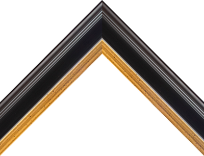 FRAME UPGRADE | 6.5x24 OR 17x60 - Spector Sports Art -